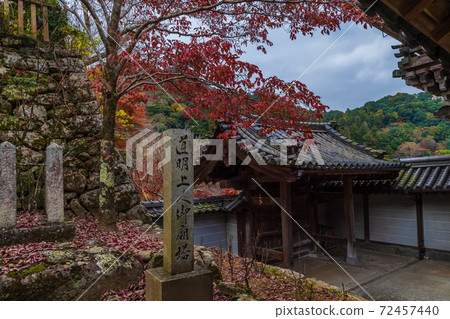 奈良縣秋天的長谷寺 奈良縣秋天的長谷寺 72457440