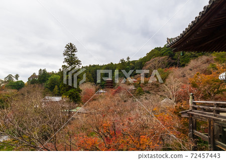 Hase-dera Temple in autumn, Nara Prefecture Hase-dera Temple in autumn, Nara Prefecture 72457443