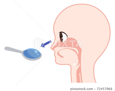 Illustration of swallowing process_preceding period (cognition) 72457968