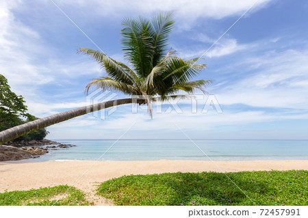 Beautiful nature of the Andaman Sea and white sand beach in the morning at Patong Beach. Beautiful nature of the Andaman Sea and white sand beach in the morning at Patong Beach. 72457991