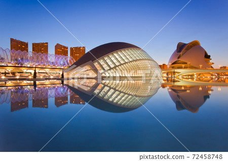 Valencia's City of Arts and Science Museum 72458748