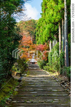 Autumn Kyoto Shodenji approach stone steps Autumn Kyoto Shodenji approach stone steps 72458830