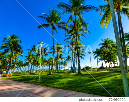 Beautiful street of Ocean Drive at USA Beautiful street of Ocean Drive at USA 72460021