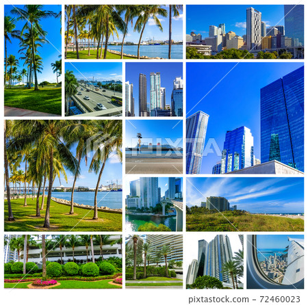 Collage about Miami, Florida, United States of America Collage about Miami, Florida, United States of America 72460023