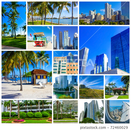 Collage about Miami, Florida, United States of America Collage about Miami, Florida, United States of America 72460029