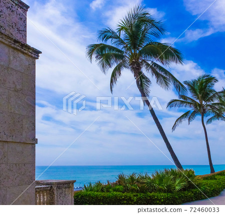 Palm Beach, Florida, USA - ocean and trees on Worth Ave. Palm Beach, Florida, USA - ocean and trees on Worth Ave. 72460033