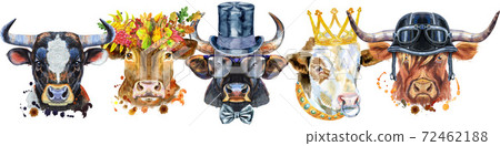 Border from watercolor portraits of bulls for decoration Border from watercolor portraits of bulls for decoration 72462188