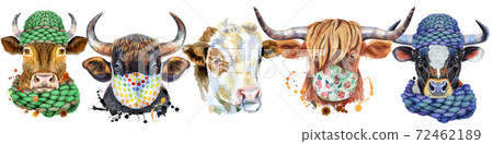 Border from watercolor portraits of bulls for decoration Border from watercolor portraits of bulls for decoration 72462189