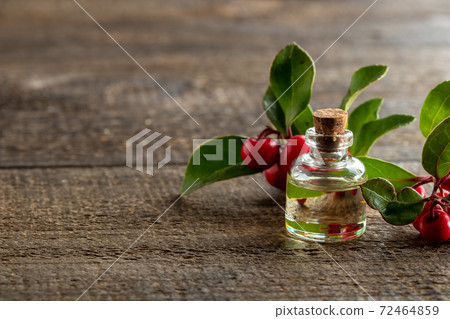 Essential oil bottle with fresh wintergreen twigs 72464859