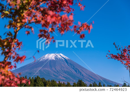 [富士山和公路車站朝霧高原的秋葉] 72464923