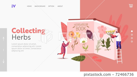 Tiny Male and Female Characters at Huge Book for Collecting Herbarium. Landing Page Template. People Learning Flora Tiny Male and Female Characters at Huge Book for Collecting Herbarium. Landing Page Template. People Learning Flora 72466736