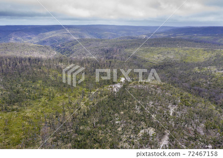 Aerial photograph of forest regeneration after bushfires in regional Australia 72467158