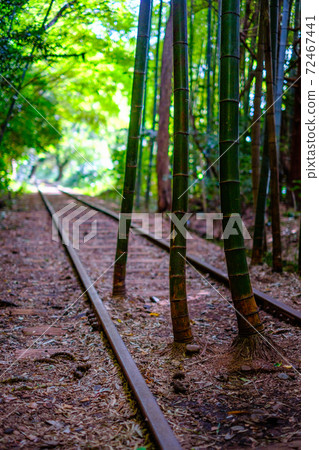 舊JNR倉吉線廢線 舊JNR倉吉線廢線 72467441