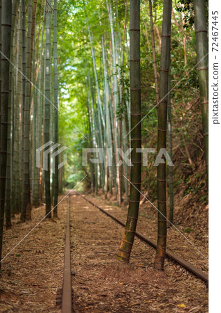 Old JNR Kurayoshi Line Abolished Line 72467445