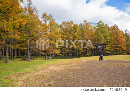 日光Nikko Senjogahara,在三本松停車場附近,秋葉風光,秋天的景色 日光Nikko Senjogahara,在三本松停車場附近,秋葉風光,秋天的景色 72468049