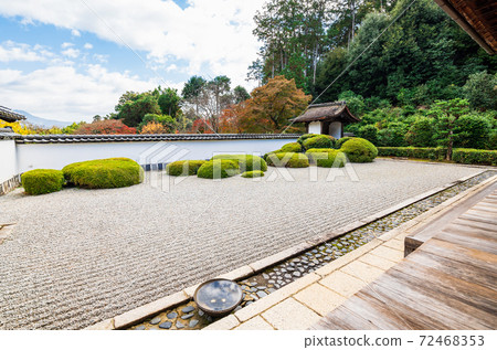 秋天的京都書傳寺北條花園 72468353