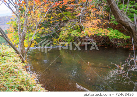 Nikko Yutaki Takiguchi area Autumn leaves scenery Autumn scenery Nikko Yutaki Takiguchi area Autumn leaves scenery Autumn scenery 72468456