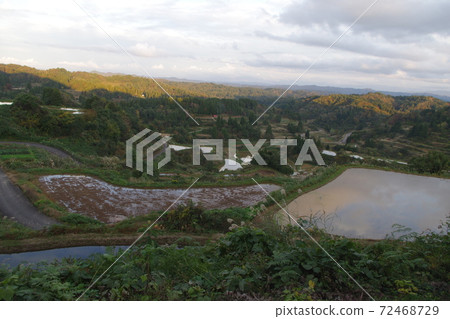 星通的稻田 星通的稻田 72468729