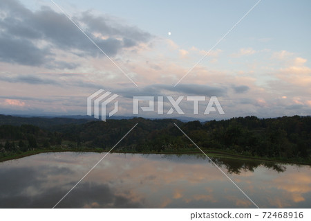 星通的稻田 72468916