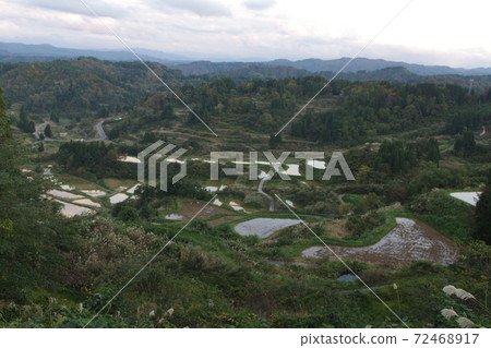 Rice paddy of Star Pass 72468917