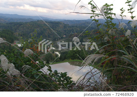 Rice paddy of Star Pass Rice paddy of Star Pass 72468920