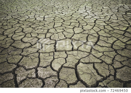 Dry and cracked green-brown ground a-4 Bright film-like 72469450
