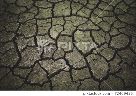 乾燥並開裂的棕褐色c-2膜狀 乾燥並開裂的棕褐色c-2膜狀 72469456