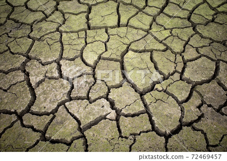 乾燥和破裂的綠褐色土c-3光亮 乾燥和破裂的綠褐色土c-3光亮 72469457