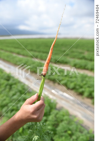 Agriculture  72469484