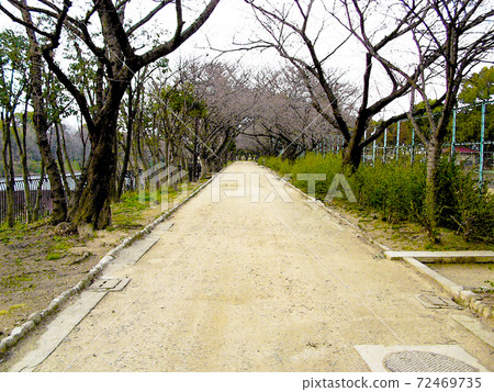 Inagawa Park promenade 72469735