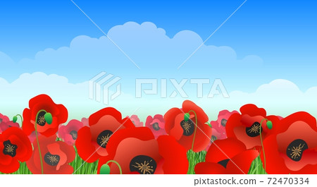 Illustrated poppy field landscape 72470334