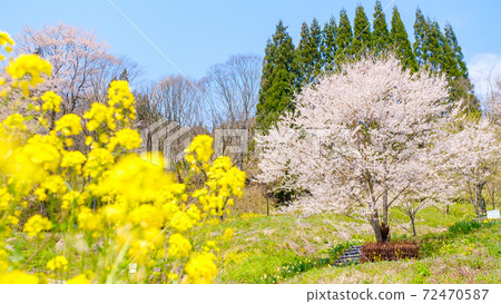 Mountain village spring 72470587