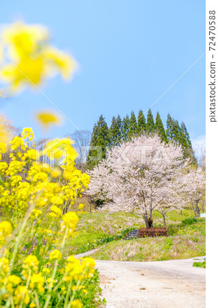 Mountain village spring Mountain village spring 72470588