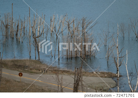 Shuparo Dam Lake Shuparo Dam Lake 72471701