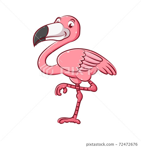he enamor flamingo with the pink color and she has a long legs he enamor flamingo with the pink color and she has a long legs 72472676