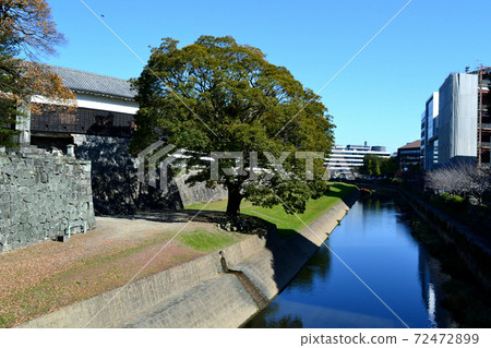Kumamoto city area: Scenery around Kumamoto Castle (Nagabei Street) 72472899