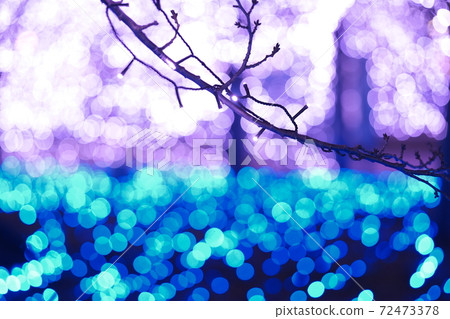 2020年敦賀港口照明“ Miraie” 2020年敦賀港口照明“ Miraie” 72473378