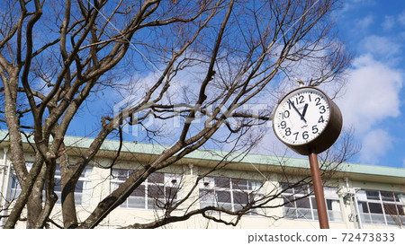 School building clock blue sky cherry tree School building clock blue sky cherry tree 72473833