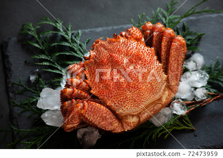 Horsehair crab (1) Horsehair crab (1) 72473959