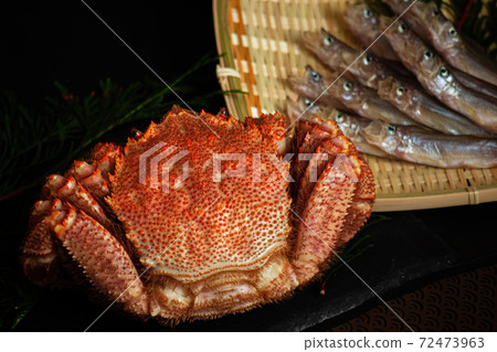 Horsehair crab and shishamo 72473963