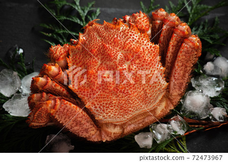 Horsehair crab (3) Horsehair crab (3) 72473967