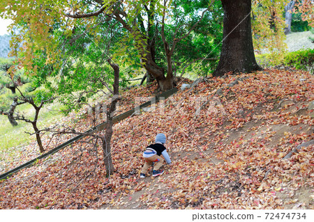 Nature experience 72474734