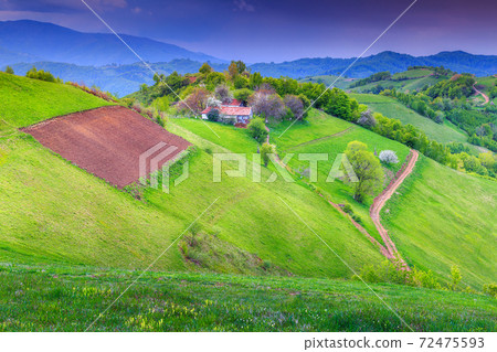 Spring landscape and farmland,Holbav,Transylvania,Romania,Europe Spring landscape and farmland,Holbav,Transylvania,Romania,Europe 72475593