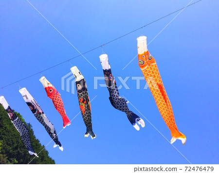 鯉魚彩帶在藍色的天空中游泳的家庭 72476479