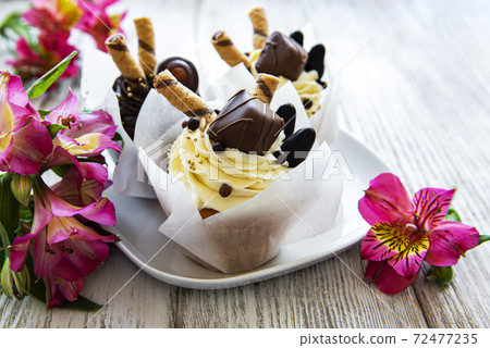 Chocolate cupcakes on white wooden background Chocolate cupcakes on white wooden background 72477235