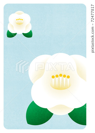Material for white camellia postcards Material for white camellia postcards 72477817