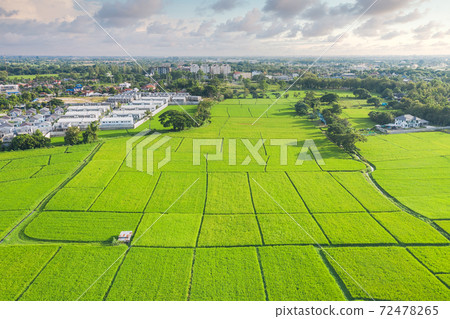 Aerial view of cultivated land. 72478265