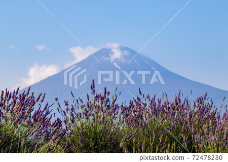 Mount Fuji Mount Fuji 72478280