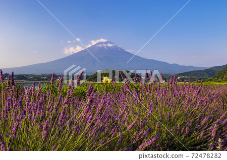 Mount Fuji Mount Fuji 72478282