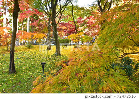 Autumn leaves in Kyoto Eikando Autumn leaves in Kyoto Eikando 72478510